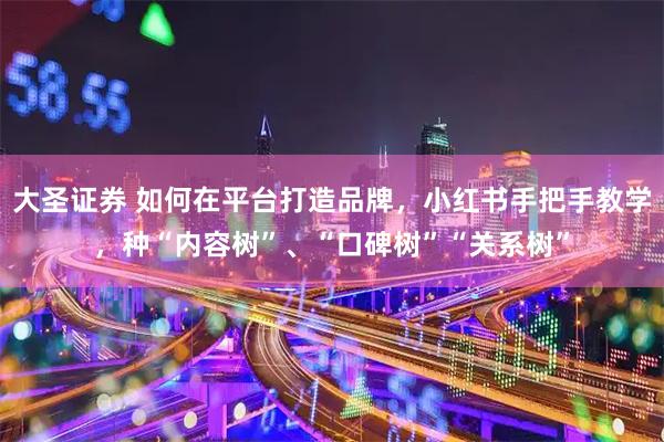 大圣证券 如何在平台打造品牌,小红书手把手教学,种“内容树”、“口碑树”“关系树”